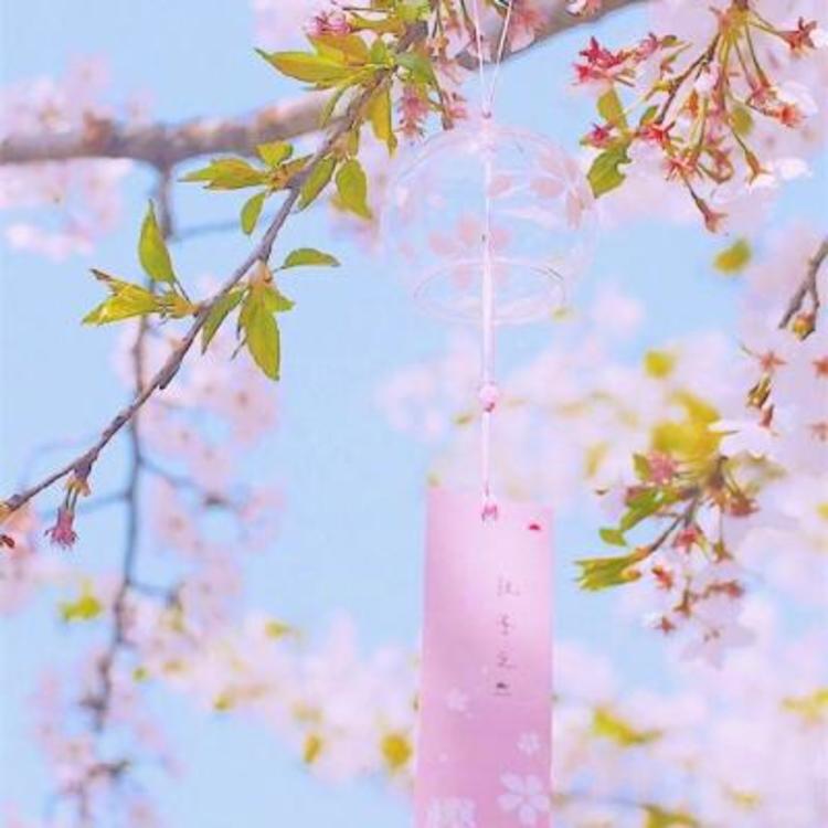 上田茂 - 少儿动画片免费在线观看 - 客户端追剧